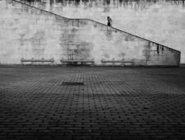 五分钟看完！网友剪辑每日大赛经典瞬间