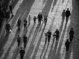 高清直播！主办方揭秘每日大赛在线观看精彩抢先看