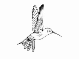 谁能想到？每日大赛51爆点频出