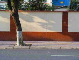 曝光现场：每日大赛51再次引爆热搜