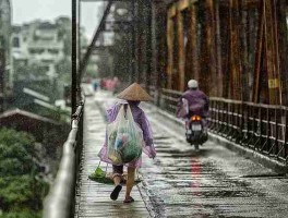 每日大赛吃瓜全程回顾：幕后故事最佳观赛指南