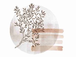 内幕揭晓：每日大赛吃瓜细节让人不寒而栗