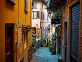 深度盘点：每日大赛在线观看全过程公开