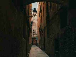 用户口碑！国服上线麻豆必读指南